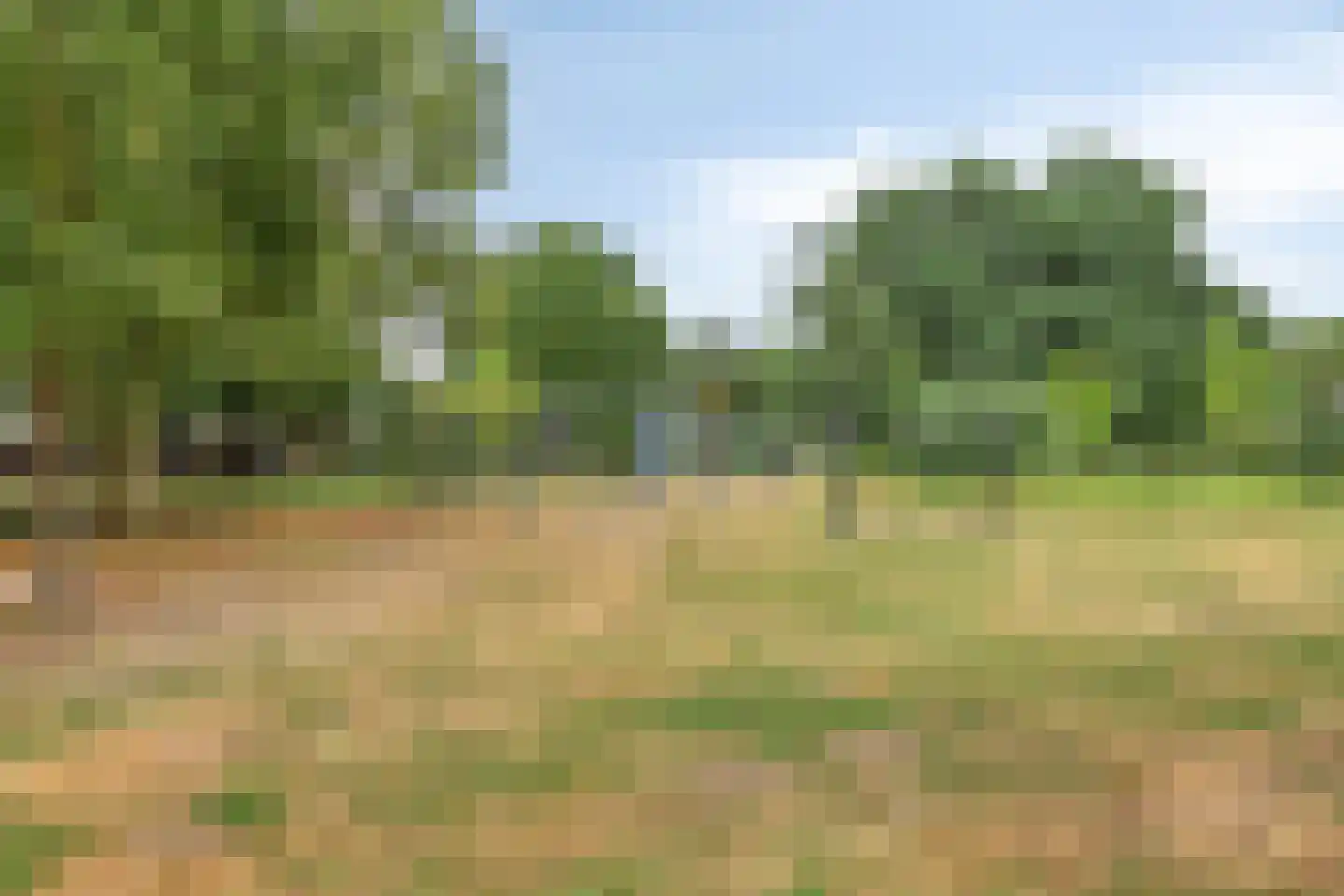 Gildenburg 507 Deventer thumbnail 41