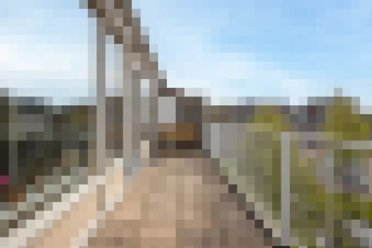 Gildenburg 58 Gouda thumbnail 15