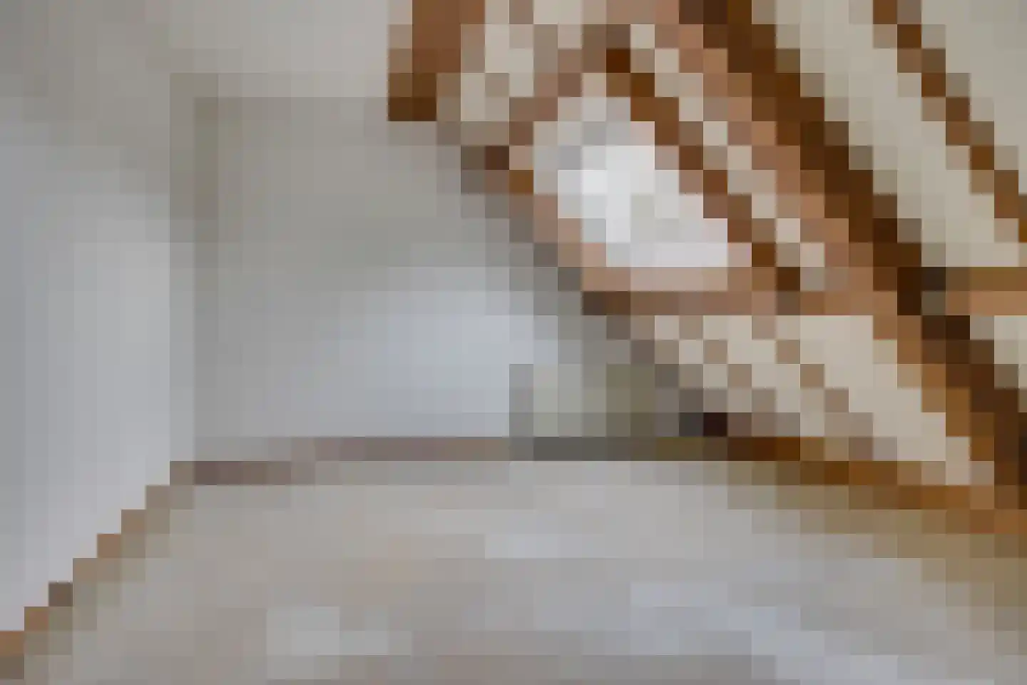 Gildenburg 58 Leusden thumbnail 17