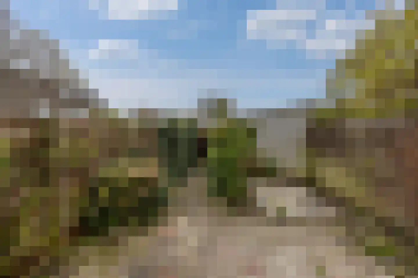 Gildenburg 58 Leusden thumbnail 21