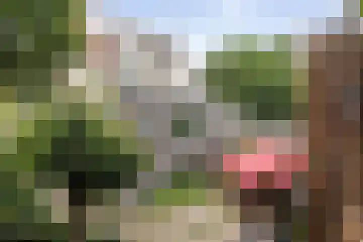 Gildenburg 608 Deventer thumbnail 32