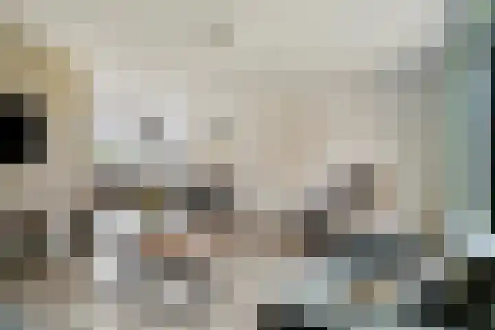 Gildenhoed 7 Groeningen thumbnail 11