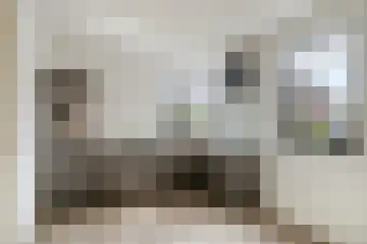 Gildenhoed 7 Groeningen thumbnail 12