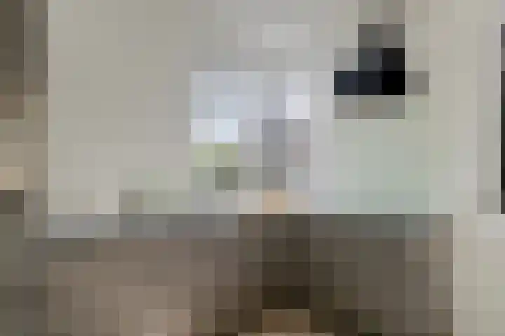 Gildenhoed 7 Groeningen thumbnail 14