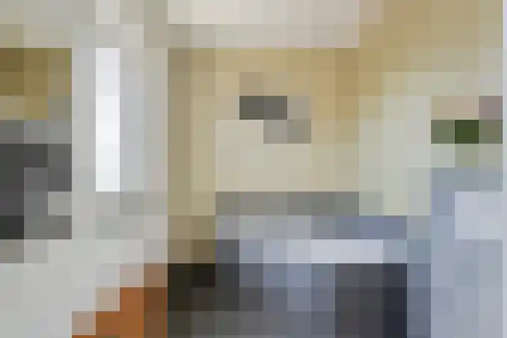 Gildenhoed 7 Groeningen thumbnail 26