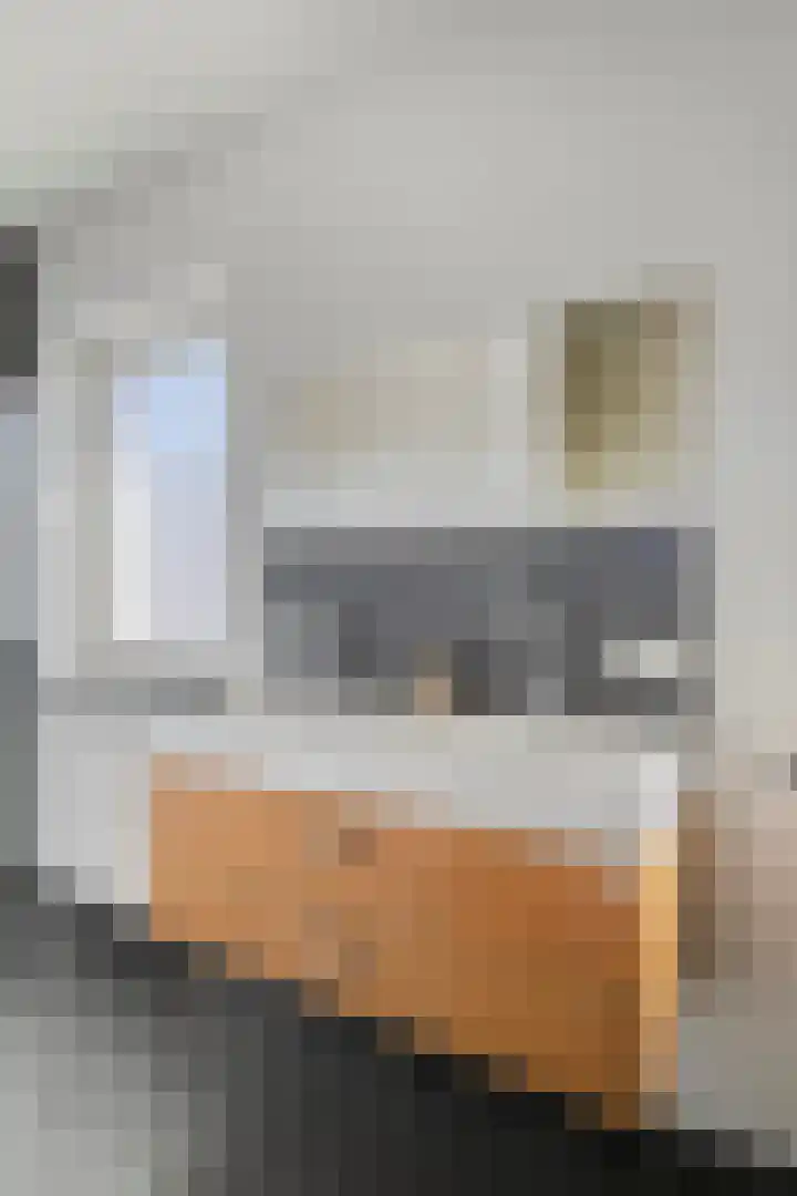 Gildenhoed 7 Groeningen thumbnail 28