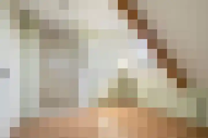 Gildenhoed 7 Groeningen thumbnail 31