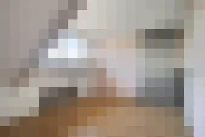 Gildenhoed 7 Groeningen thumbnail 33