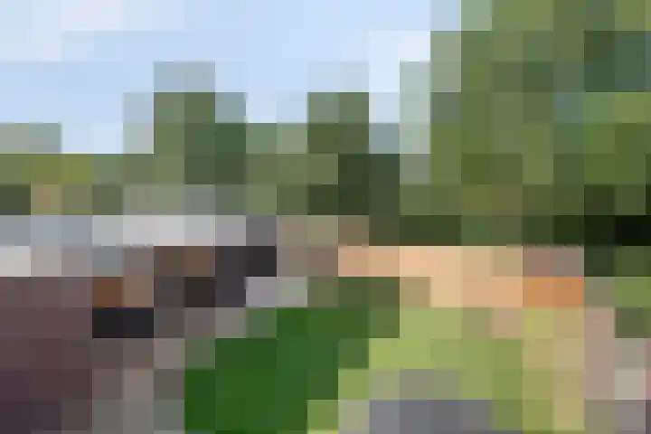 Gildenhoed 7 Groeningen thumbnail 35