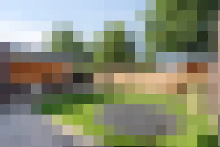 Gildenhoed 7 Groeningen thumbnail 36