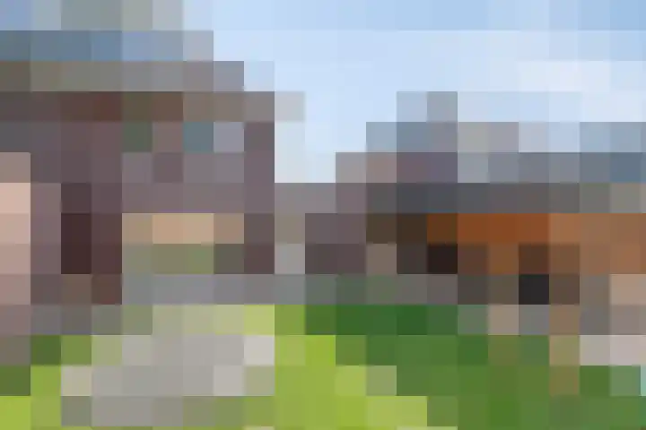 Gildenhoed 7 Groeningen thumbnail 39