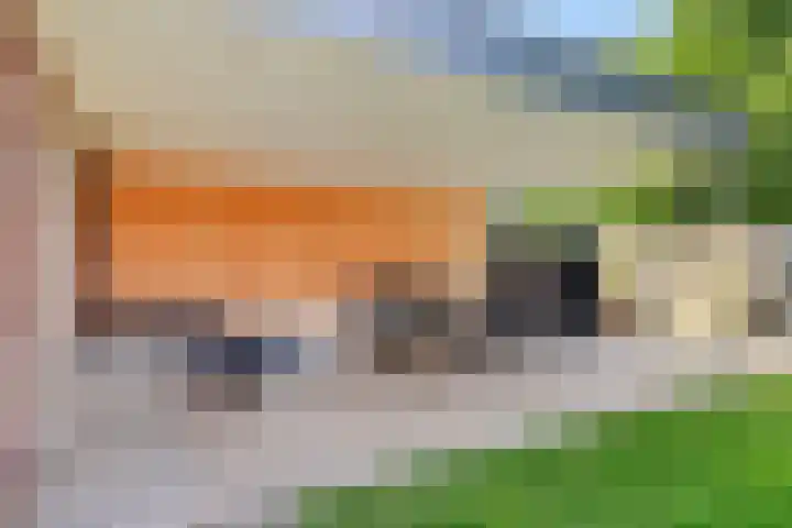 Gildenhoed 7 Groeningen thumbnail 41