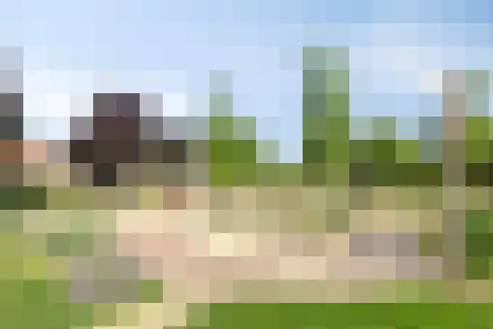 Gildenhoed 7 Groeningen thumbnail 44