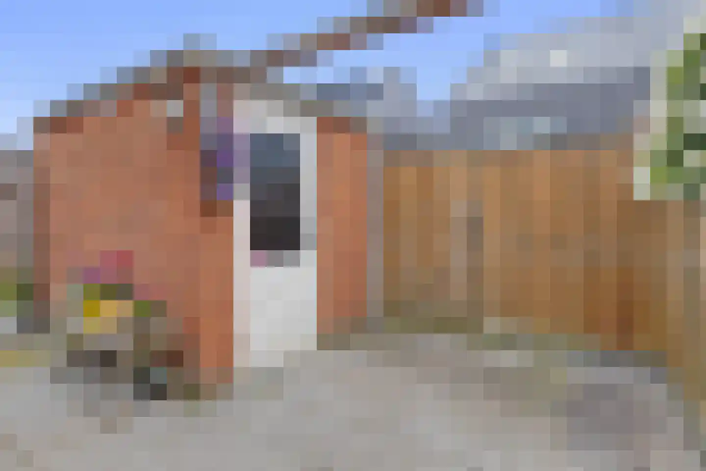 Gildenhof 14 's-Gravenzande thumbnail 21