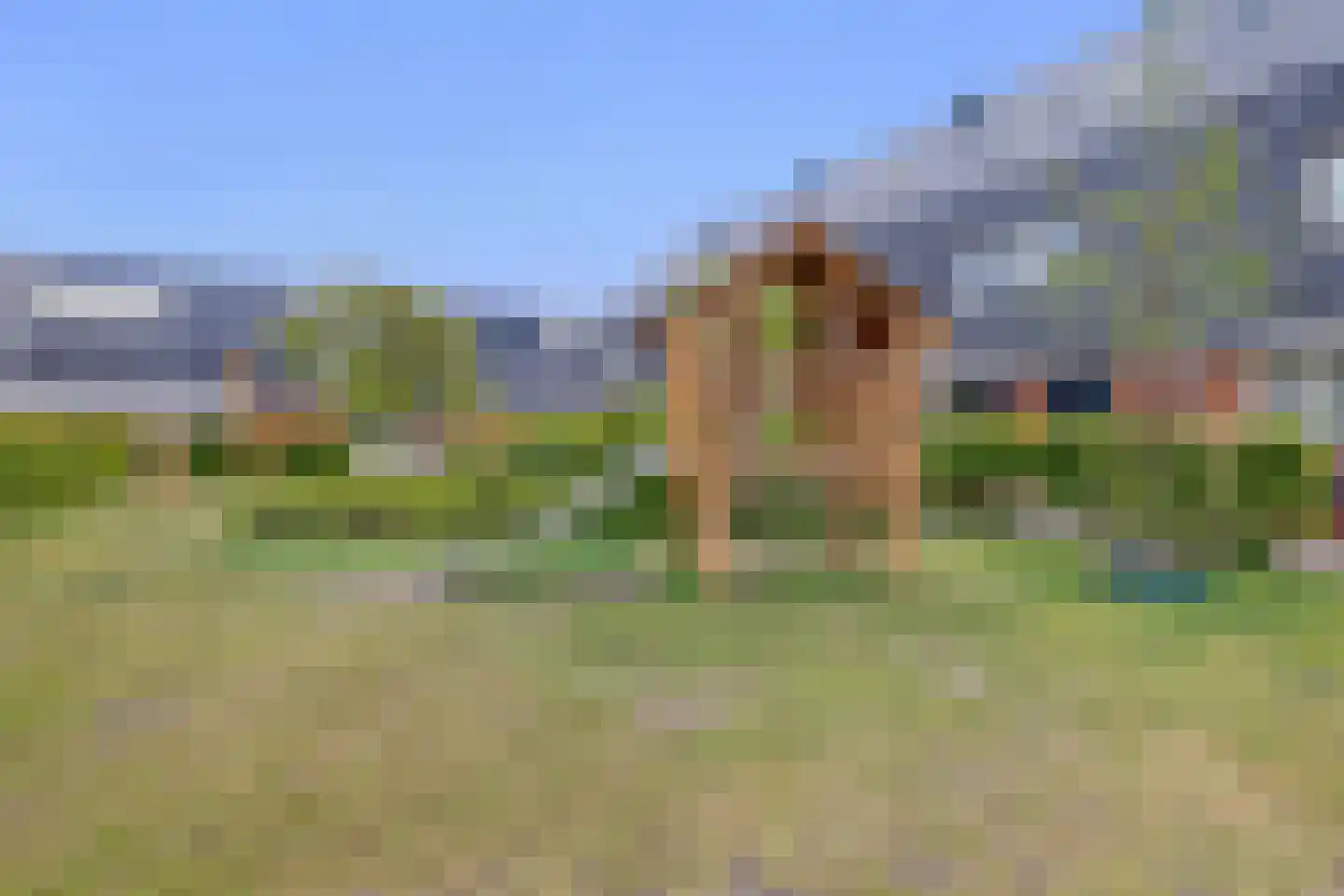 Gildenhof 14 's-Gravenzande thumbnail 38