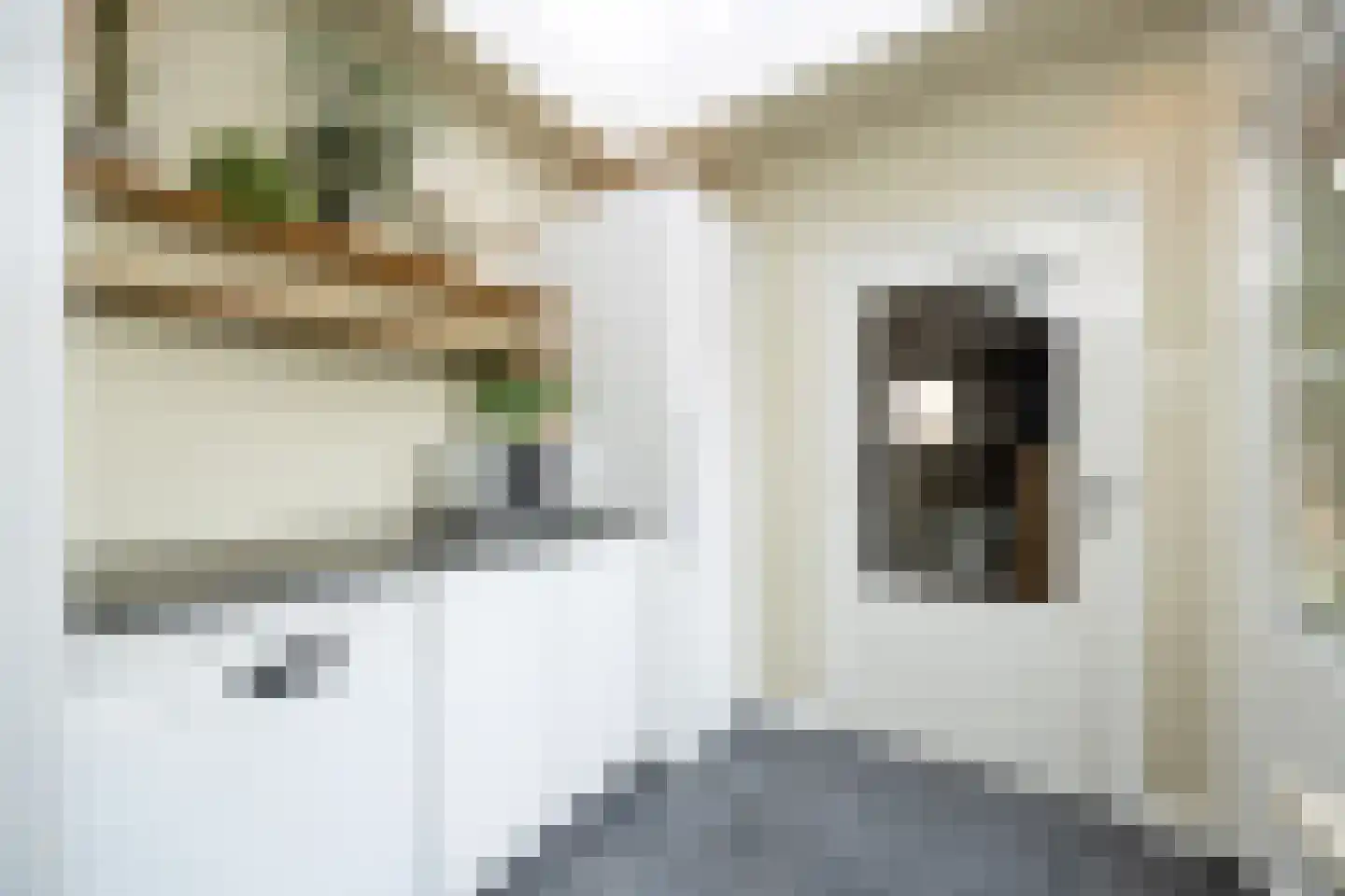 Gildenhof 15 Boxtel thumbnail 18