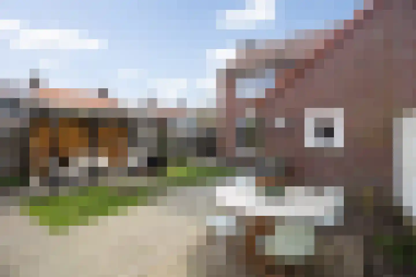 Gildenhof 15 Boxtel thumbnail 43