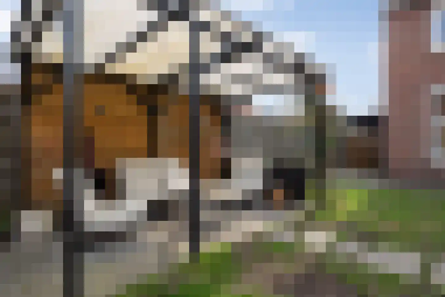 Gildenhof 15 Boxtel thumbnail 44