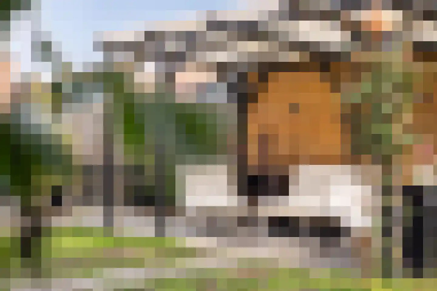 Gildenhof 15 Boxtel thumbnail 47