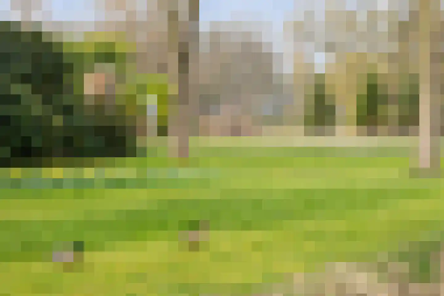 Gildenhof 15 Boxtel thumbnail 54