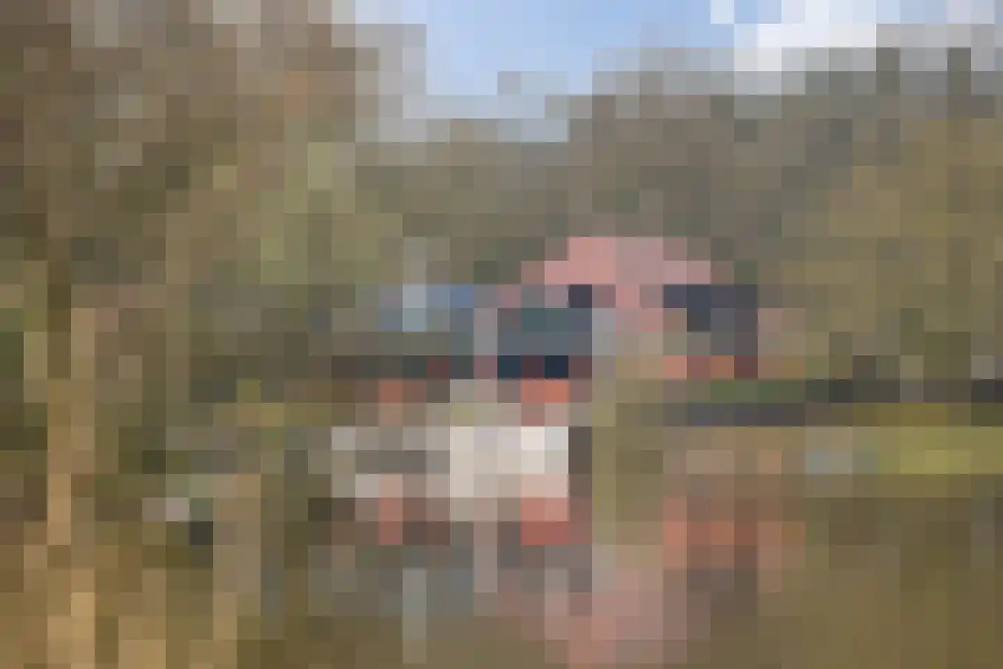 Gildenhof 15 Boxtel thumbnail 56