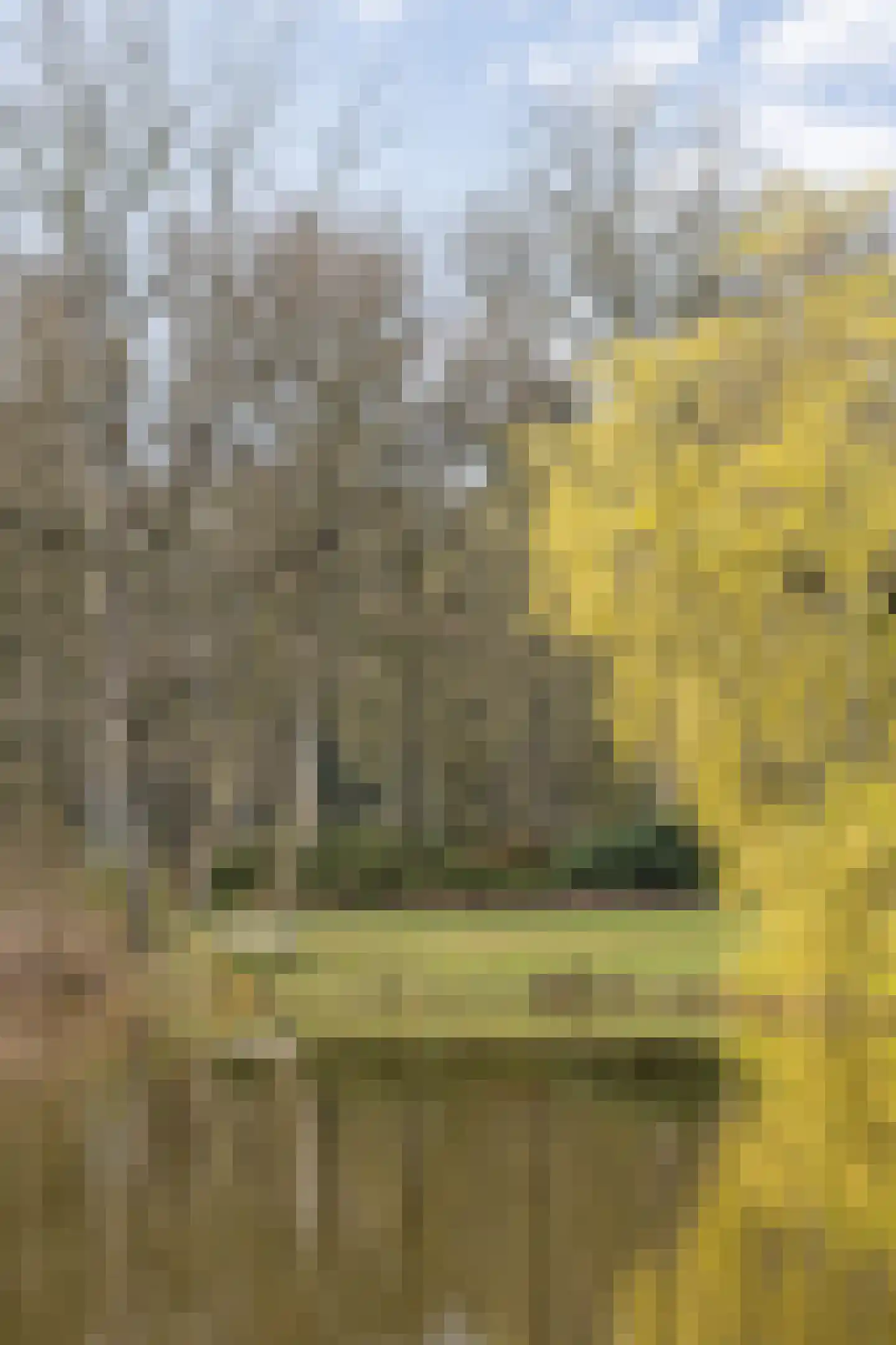 Gildenhof 15 Boxtel thumbnail 57
