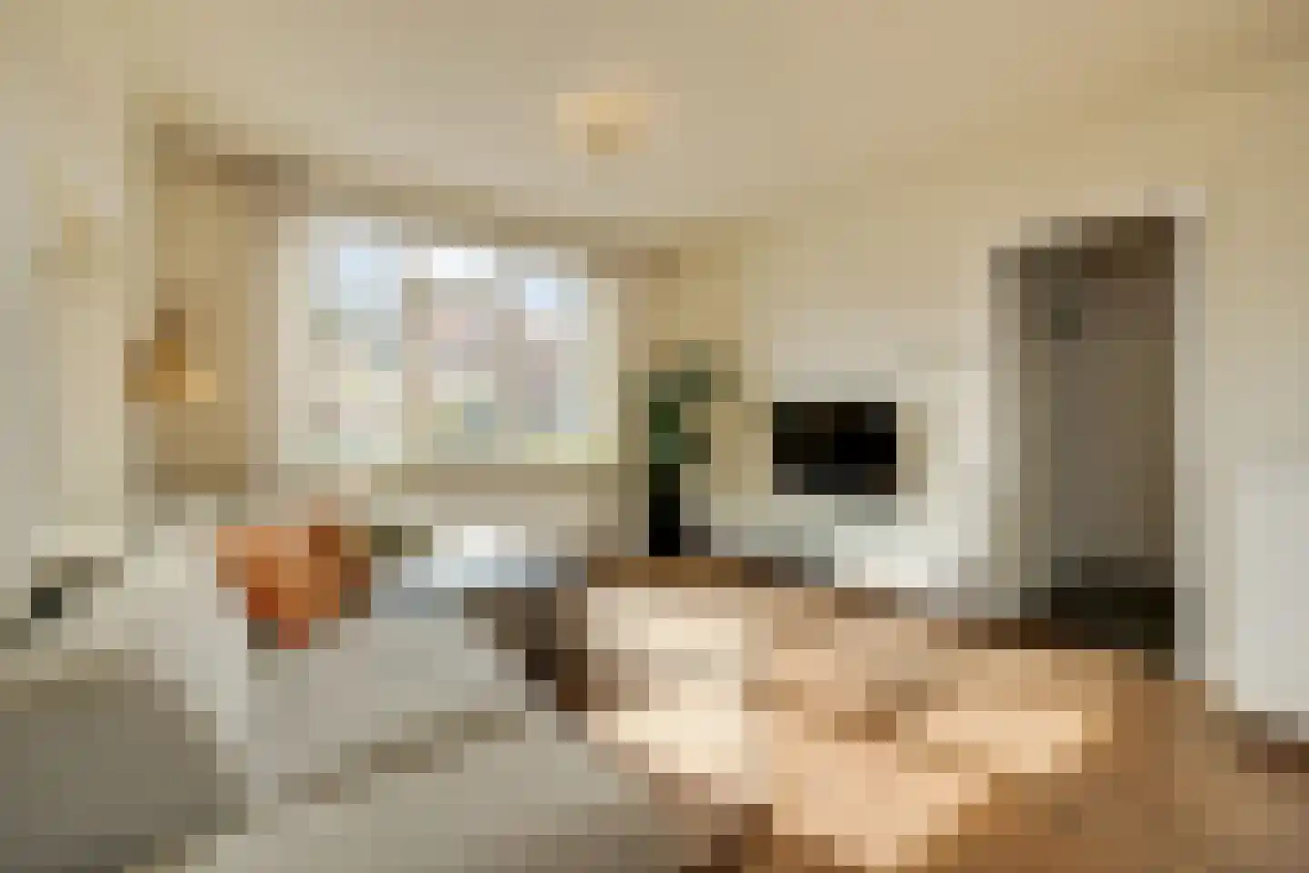 Gildenhof 15 Boxtel thumbnail 6