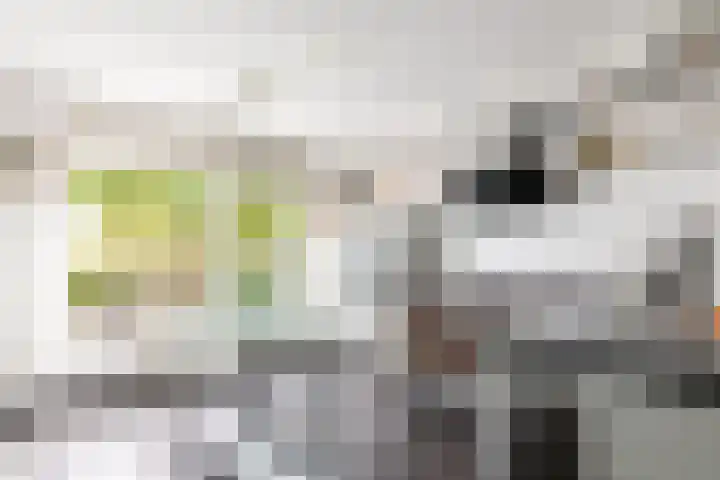Gildenlaan 4 Oostvoorne thumbnail 11