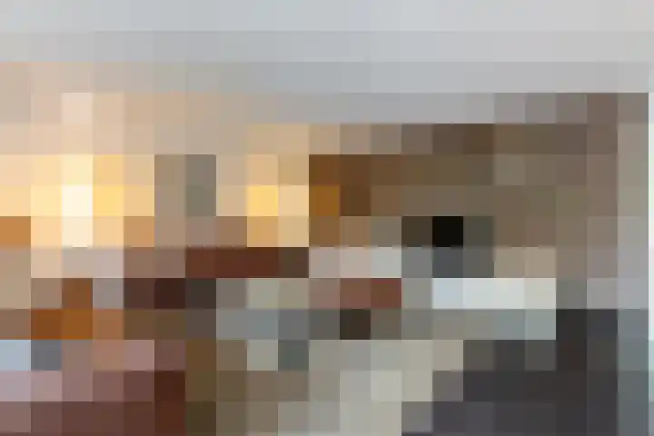 Gildenlaan 4 Oostvoorne thumbnail 18
