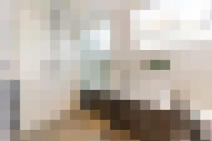 Gildenlaan 4 Oostvoorne thumbnail 28