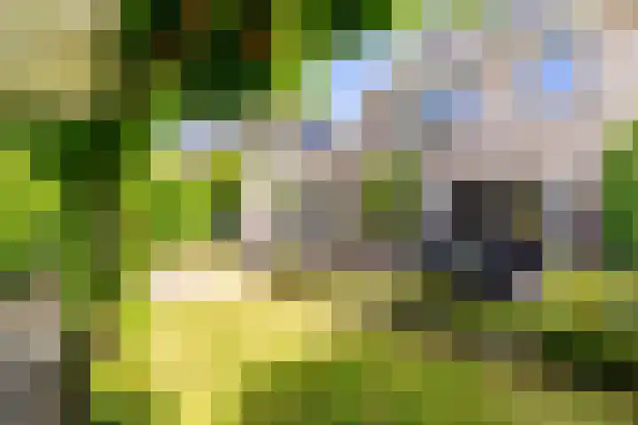 Gildenlaan 4 Oostvoorne thumbnail 4