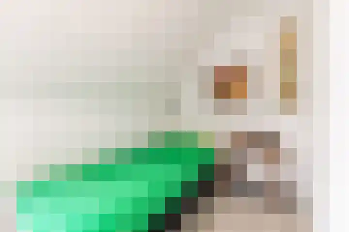 Gildenlaan 4 Oostvoorne thumbnail 41