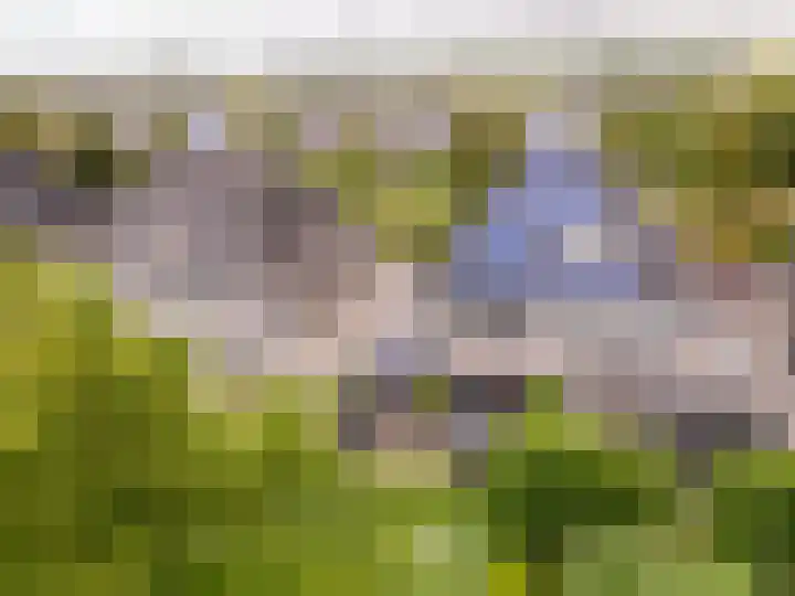 Gildenlaan 4 Oostvoorne thumbnail 42
