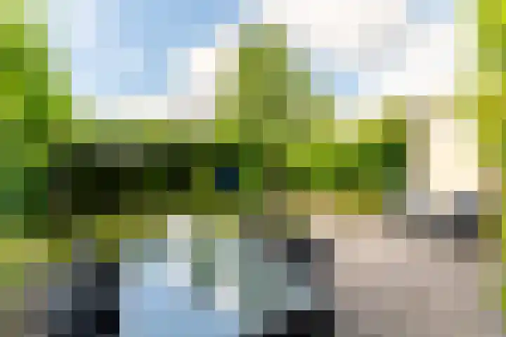 Gildenlaan 4 Oostvoorne thumbnail 43