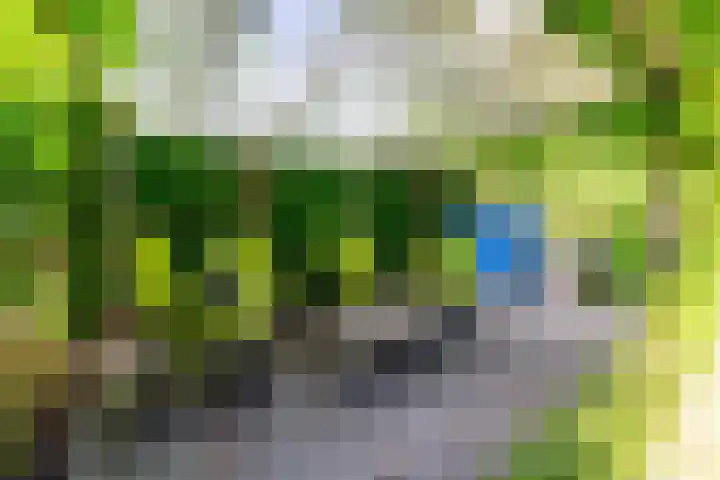 Gildenlaan 4 Oostvoorne thumbnail 44