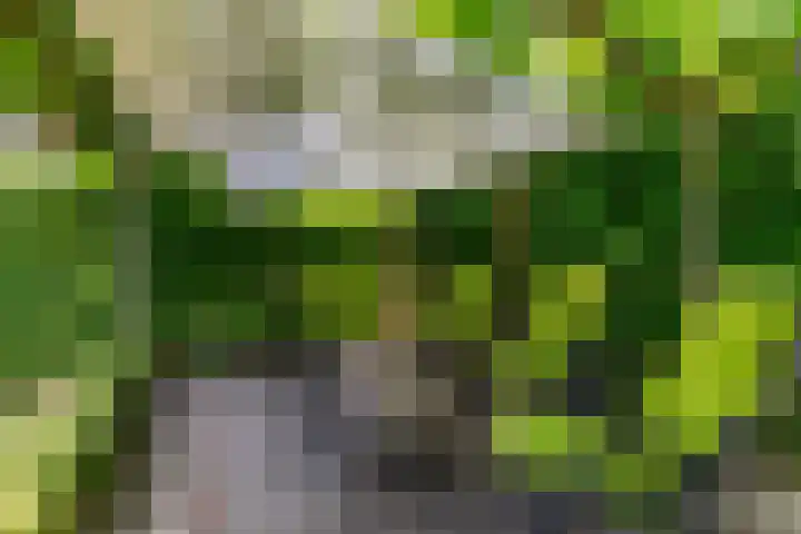 Gildenlaan 4 Oostvoorne thumbnail 45