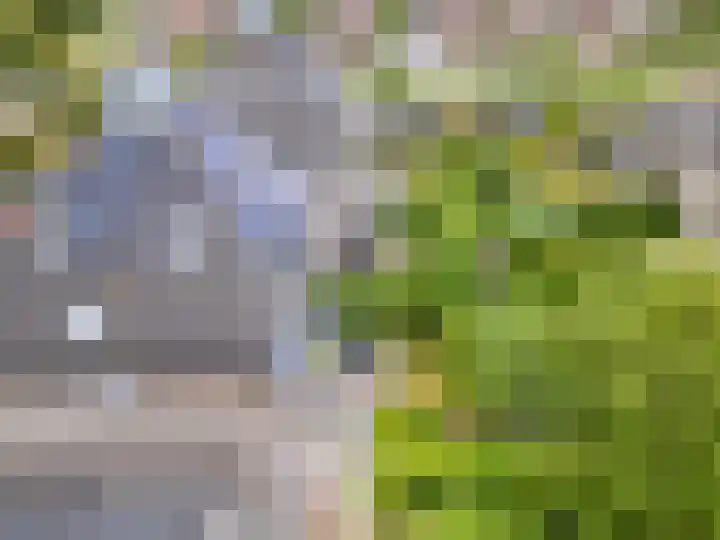 Gildenlaan 4 Oostvoorne thumbnail 47