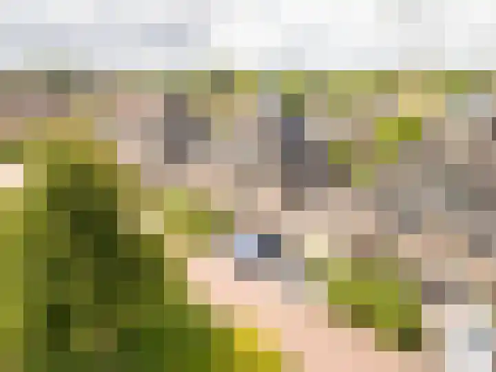 Gildenlaan 4 Oostvoorne thumbnail 7