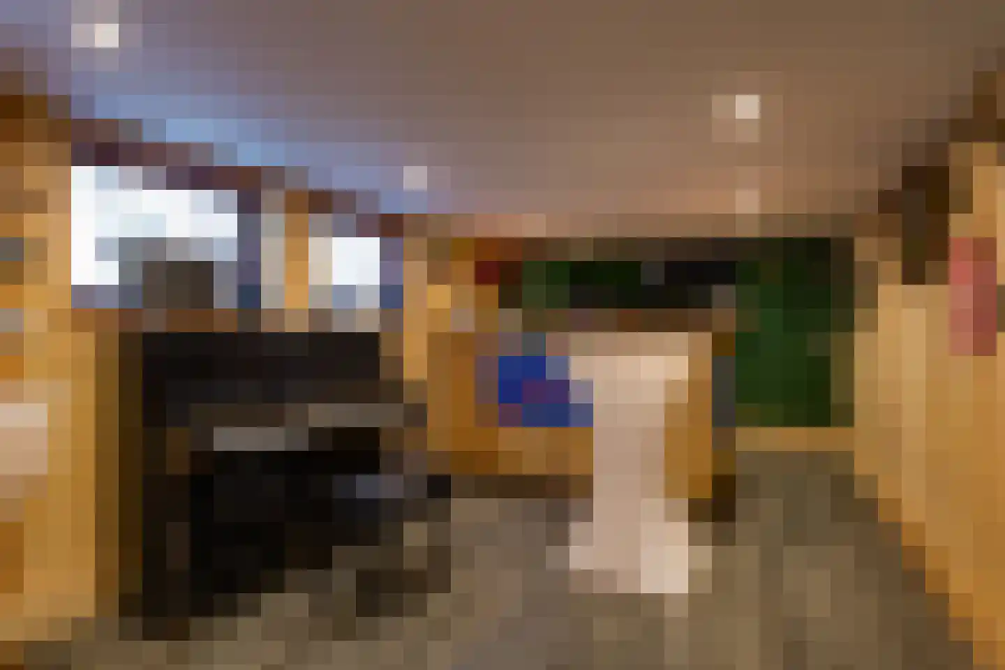 Gildenlaan 54 Susteren thumbnail 34