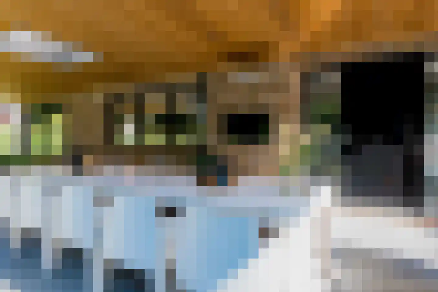 Gildenlaan 54 Susteren thumbnail 36
