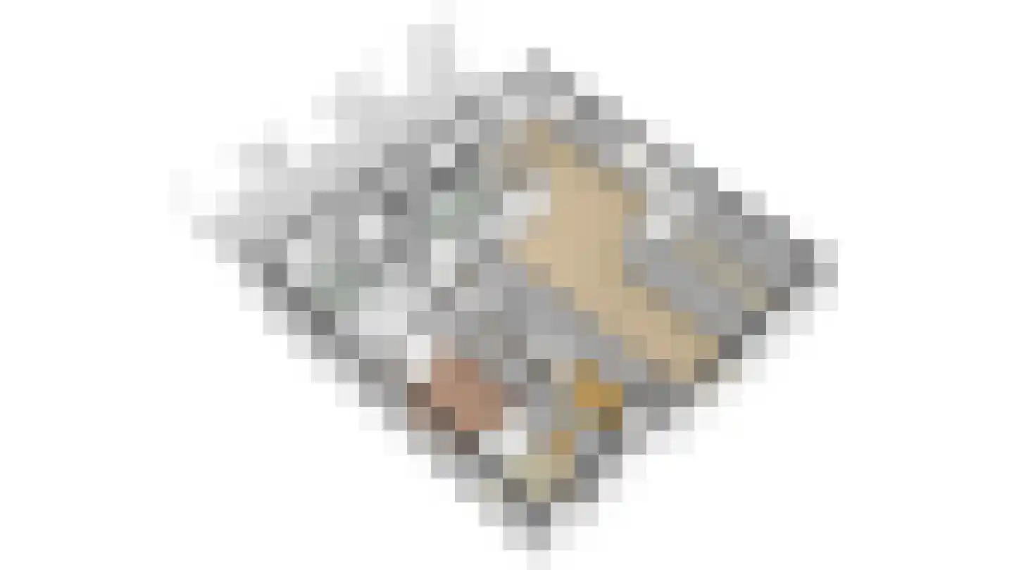 Gildenlaan 54 Susteren thumbnail 48