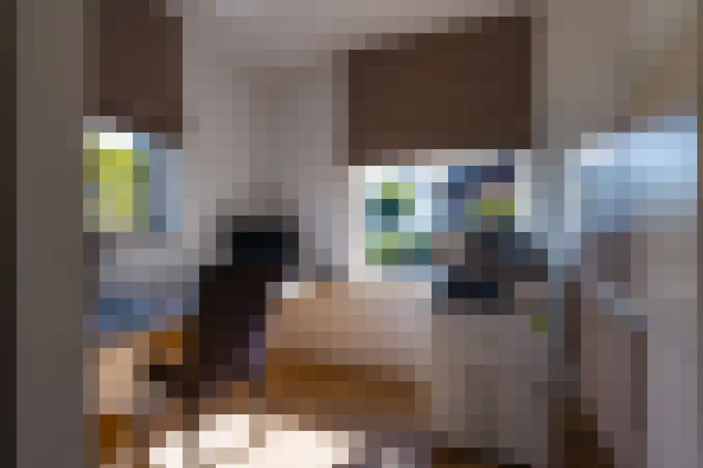 Gildenlaan 54 Susteren thumbnail 9