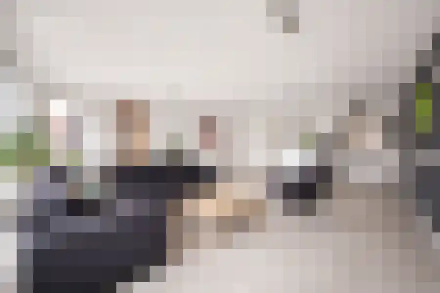 Gildenlaan Apeldoorn thumbnail 4
