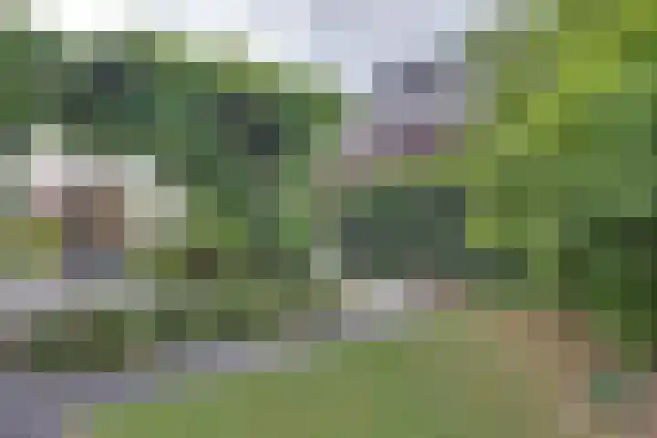 Gildenpad 2 Zevenaar thumbnail 20