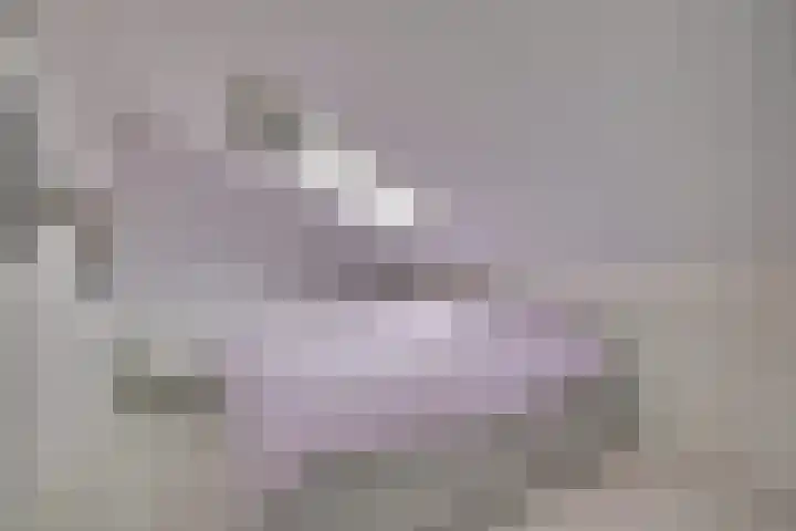 Gildenpad 2 Zevenaar thumbnail 39