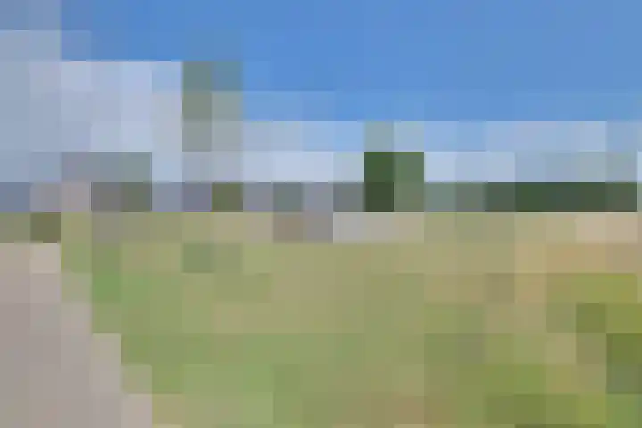 Gildenpad 2 Zevenaar thumbnail 43
