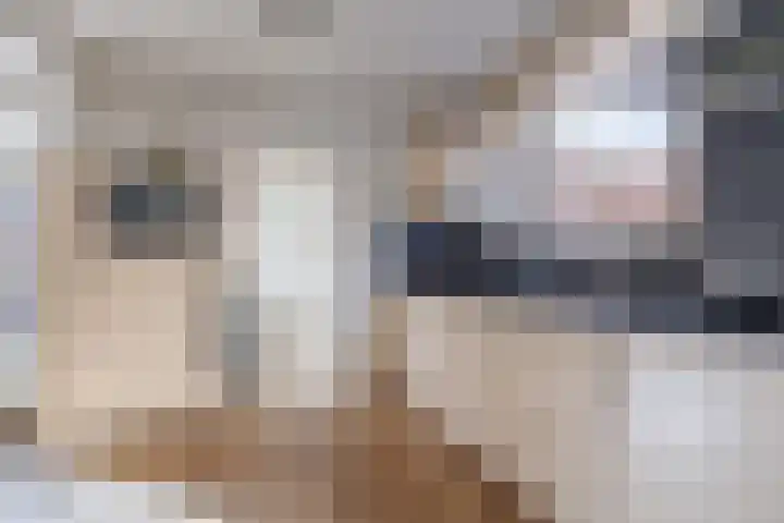 Gildenstraat 10 Bergen L thumbnail 8