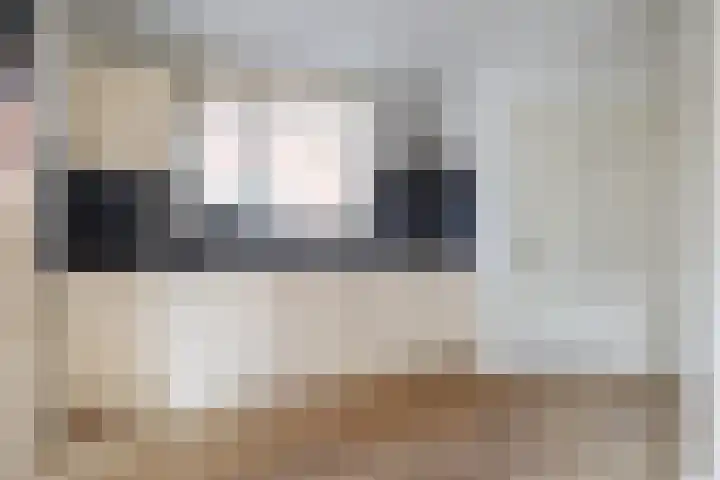 Gildenstraat 10 Bergen L thumbnail 9