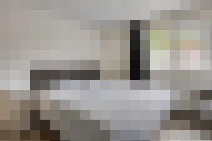 Gildenstraat 11 Bergen L thumbnail 18