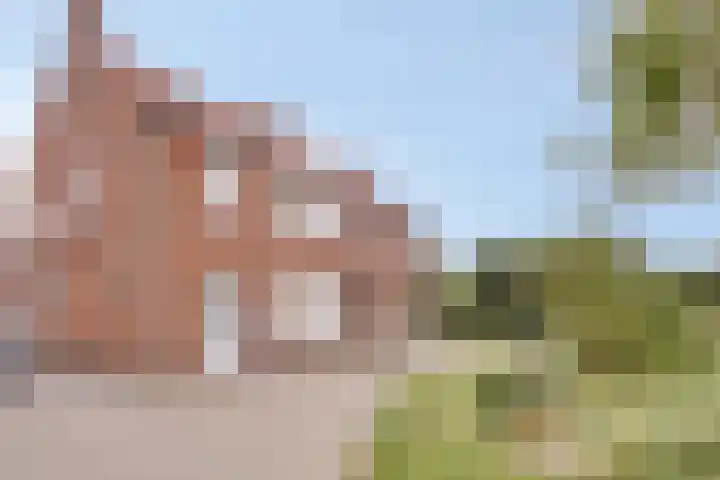 Gildenstraat 11 Bergen L thumbnail 30